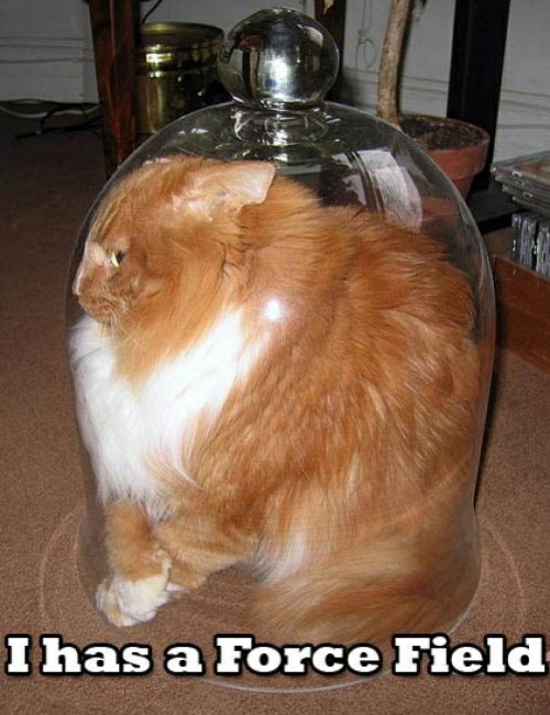I HAS A FORCEFIELD